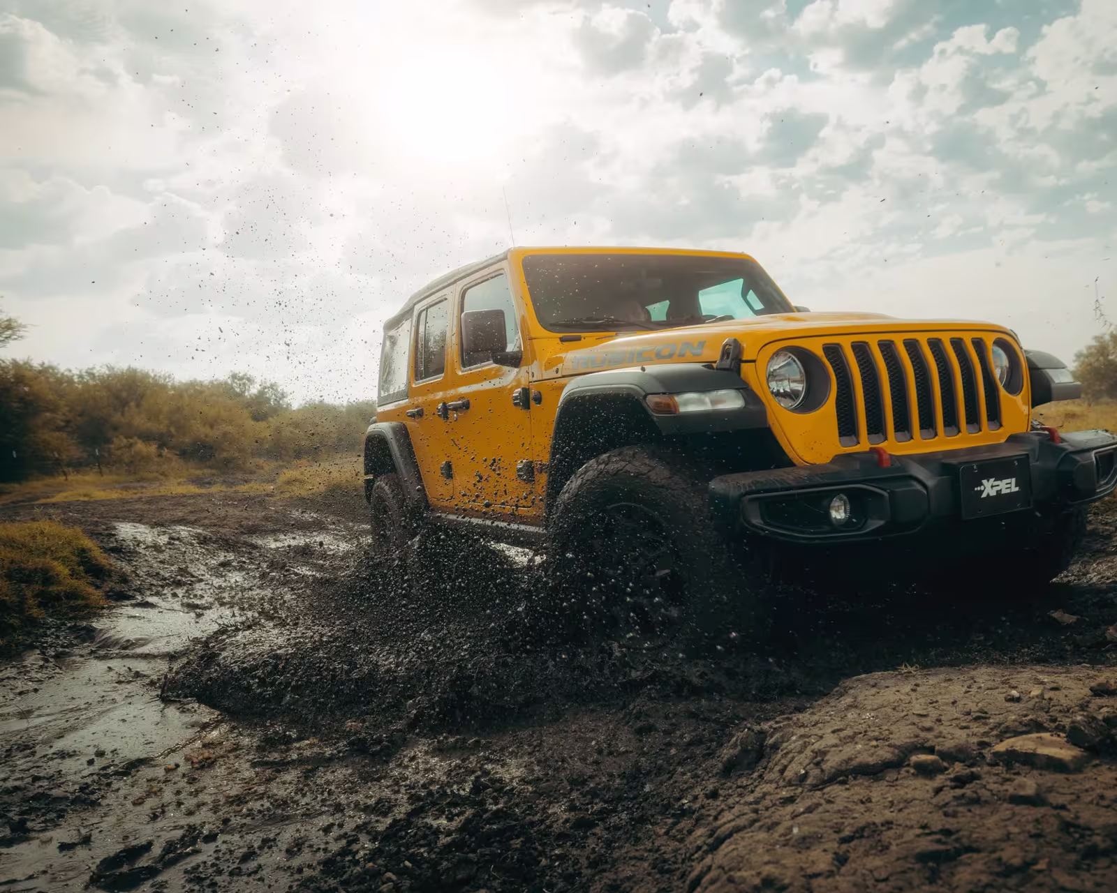 COLOR 페인트 보호 필름